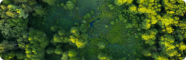 Aerial view of a green forest representing sustainability and environmental responsibility